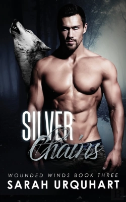 Bertrand.pt - Silver Chains