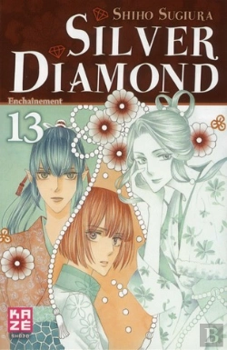 Bertrand.pt - Silver Diamond T.13