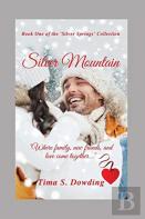 Silver Mountain
