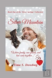 Silver Mountain