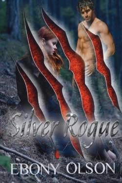 Bertrand.pt - Silver Rogue