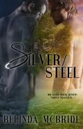Silver/Steel