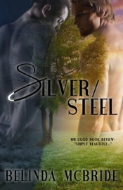 Silver/Steel