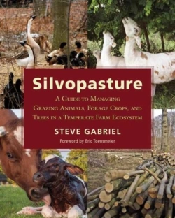 Bertrand.pt - Silvopasture