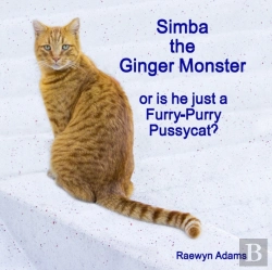 Bertrand.pt - Simba The Ginger Monster