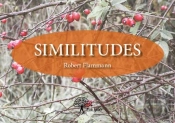 Similitudes