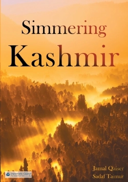 Bertrand.pt - Simmering Kashmir