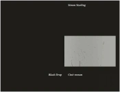 Simon Starling