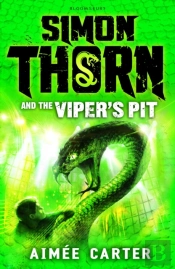 Simon Thorn And The Viper'S Pit