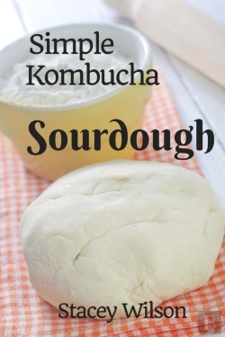 Bertrand.pt - Simple Kombucha Sourdough