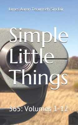 Bertrand.pt - Simple Little Things