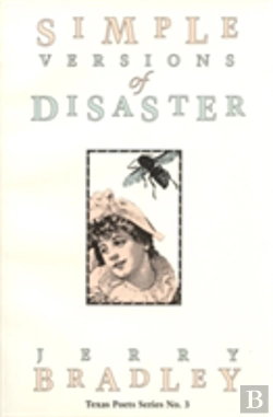 Bertrand.pt - Simple Versions Disaster
