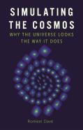Simulating The Cosmos