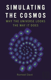 Simulating The Cosmos
