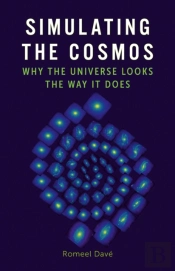 Simulating The Cosmos