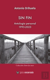 Sin Fin