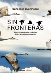 Sin Fronteras
