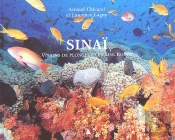 Sinaï ; Visions De Plongeurs En Mer Rouge