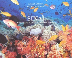 Bertrand.pt - Sinaï ; Visions De Plongeurs En Mer Rouge