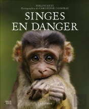 Singes En Danger