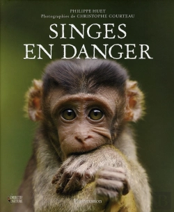 Bertrand.pt - Singes En Danger