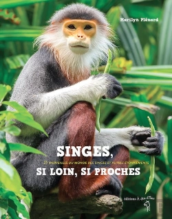 Bertrand.pt - Singes Si Loin Si Proches