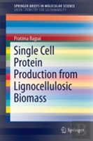 Single Cell Protein Production From Lignocellulosic Biomass