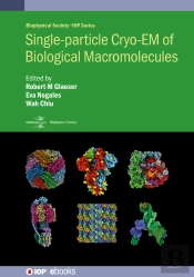 Single-Particle Cryo-Em Of Biological Macromolecules