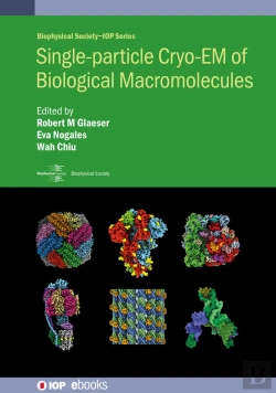 Bertrand.pt - Single-Particle Cryo-Em Of Biological Macromolecules