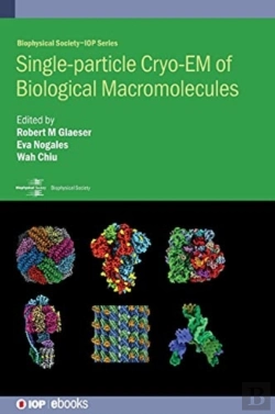 Bertrand.pt - Single-Particle Cryo-Em Of Biological Macromolecules