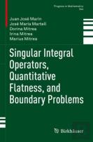 Singular Integral Operators, Quantitative Flatness, And Boundary Problems