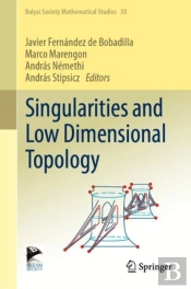Singularities And Low Dimensional Topology