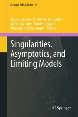 Bertrand.pt - Singularities, Asymptotics, And Limiting Models