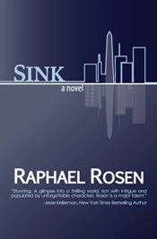 Sink: A Novel