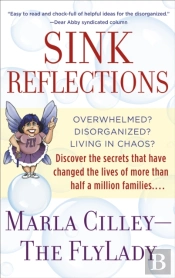 Sink Reflections