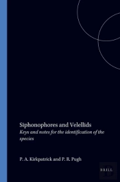 Siphonophores And Velellids