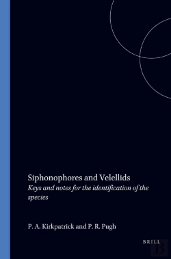 Bertrand.pt - Siphonophores And Velellids