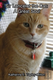Sir Lancelot The Cat: A Great Soul
