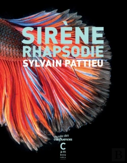 Bertrand.pt - Sirène Rhapsodie