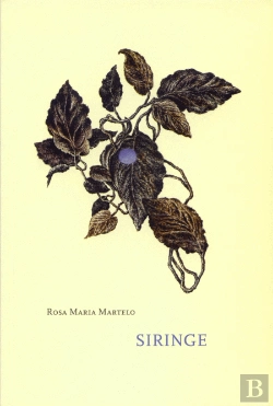 Bertrand.pt - Siringe