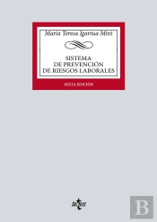 Sistema De Prevencion De Riesgos Laborales