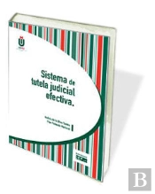Sistema De Tutela Judicial Efectiva