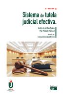 Sistema De Tutela Judicial Efectiva