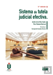 Sistema De Tutela Judicial Efectiva