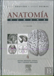 Sistema Nervioso Central