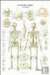 Sistema Oseo Poster