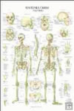 Bertrand.pt - Sistema Oseo Poster