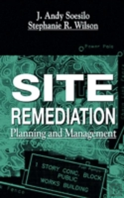 Bertrand.pt - Site Remediation