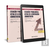 Situacion Y Problematica Actual De La Contratacion Administrativa
