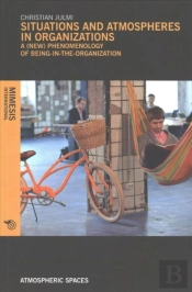 Situations And Atmospheres In Organizations